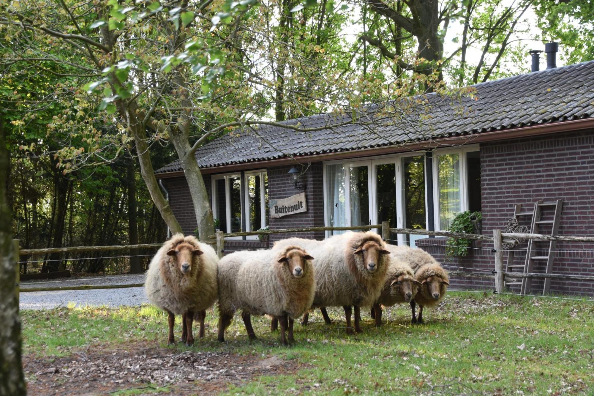 Buitenuit Villa Boxtel Exterior photo